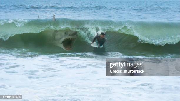 great white shark about to attack a man on a bodyboard - shark attack 個照片及圖片檔