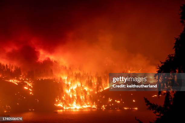 forest fires at night near kelowna, british columbia, canada - phénomène climatique extrême photos et images de collection