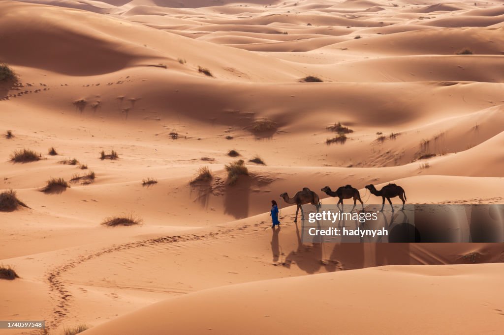 Junge Tuareg mit Kamelen auf Westliche Sahara in Afrika