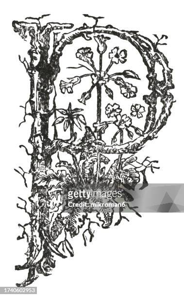 old engraved illustration of letter p, decorative ornament - ps arts stock pictures, royalty-free photos & images