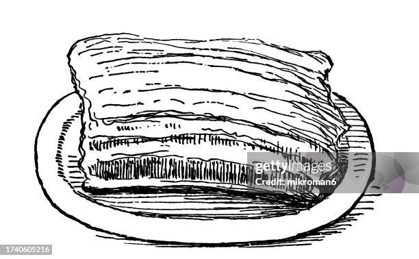 old engraved illustration of brisket of beef - animal rib cage stock pictures, royalty-free photos & images