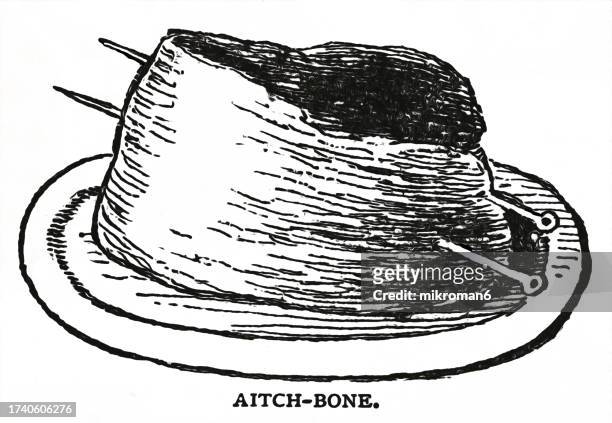 old engraved illustration of an aitch bone of beef - animal rib cage stock pictures, royalty-free photos & images