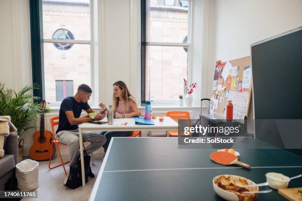 studying in common room - halls of residence stock pictures, royalty-free photos & images