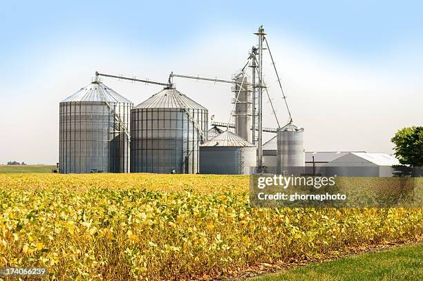 grain elevator - silage stock pictures, royalty-free photos & images