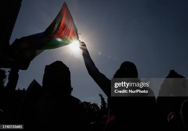 Member of the Palestinian community in Mexico, holds a flag while demonstrating and marching from the Angel of Independence to the Monument to the...