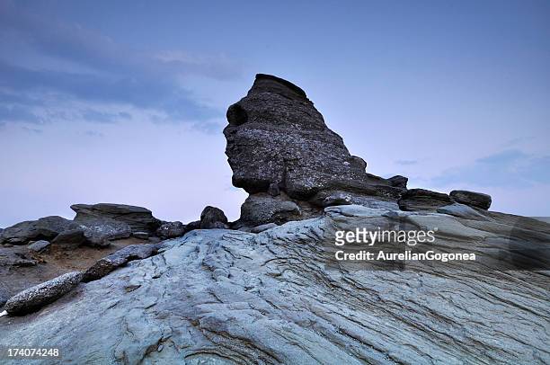 the sfinx from bucegi mountains; romania - romanian ruins bildbanksfoton och bilder