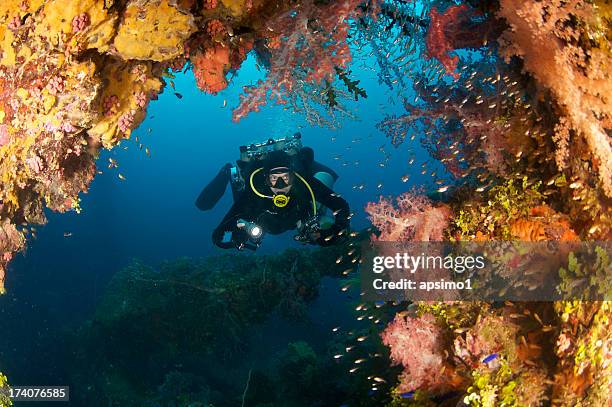 diver on reef covered wreck - chuuk lagoon stock pictures, royalty-free photos & images