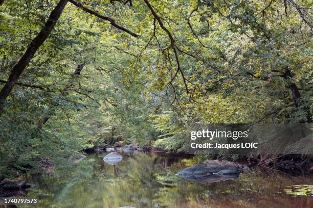 france, saint-junien, 87, glane valley, corot site - haute vienne stock pictures, royalty-free photos & images