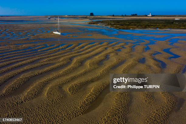 france, manche, cotentin. agon-coutainville, la pointe d'agon - cotentin stock pictures, royalty-free photos & images