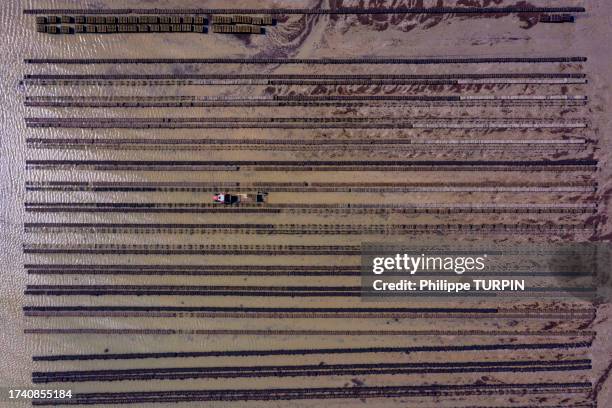 france, manche, cotentin. saint-vaast-la-hougue. oyster beds - cotentin stock pictures, royalty-free photos & images