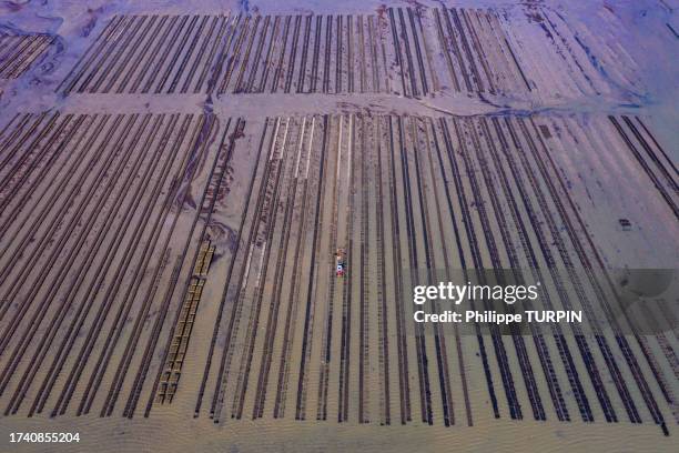 france, manche, cotentin. saint-vaast-la-hougue. oyster beds - cotentin stock pictures, royalty-free photos & images