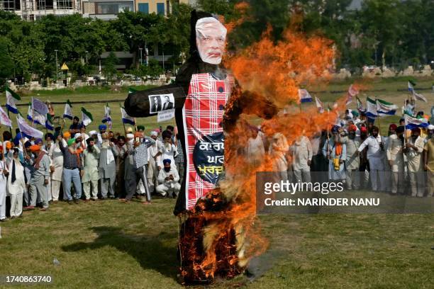 Farmers burn an effigy of India's Prime Minister Narendra Modi with pictures of Reliance Industries Chairman Mukesh Ambani and Adani Group Chairman...
