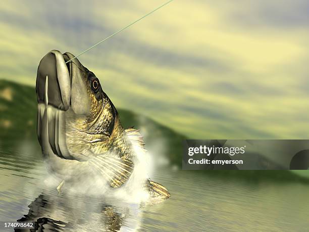 bass fishing - sinker stock pictures, royalty-free photos & images