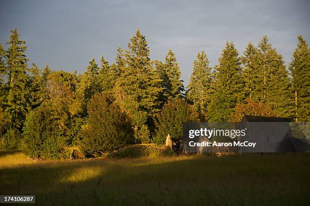 old farm - isla de vashon fotografías e imágenes de stock