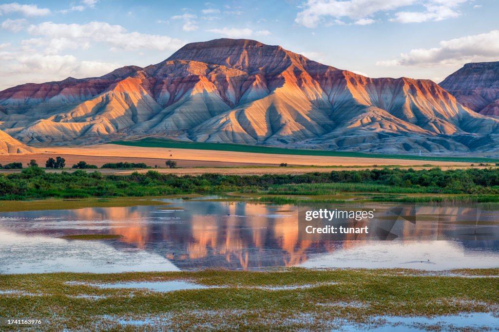 Nallıhan Nature Reserve