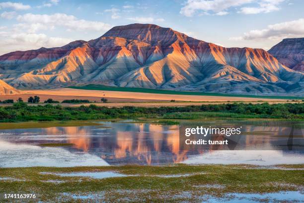 nallıhan nature reserve - anatolia stock pictures, royalty-free photos & images