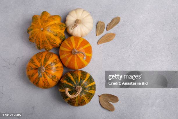 top view of jack be little pumpkins and dry leafs on grey marble background.good as autumn background with negative space. - jack be little squash stock-fotos und bilder