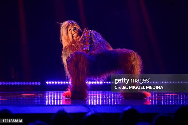 Dancer performs as Chewbacca in "The Empire Strips Back", a burlesque parody of Star Wars at the Marie-Bell gymnasium theatre in central Paris on...