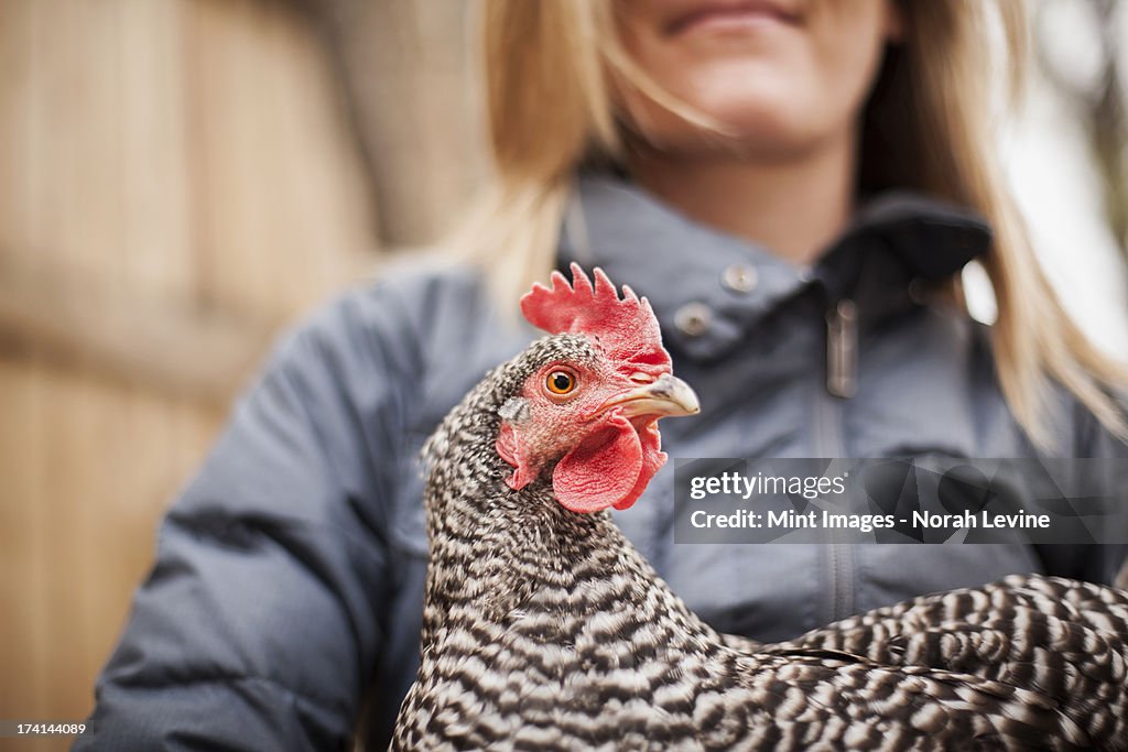 Una mujer usando abrigo gris y agarrando una pollo.