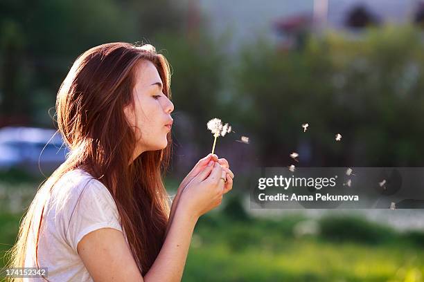 teenage girl blowing a dandelion - dandelion blowing stock pictures, royalty-free photos & images