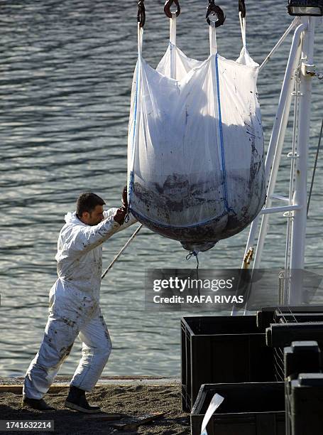Basque Fishing 2,823 Gone Fishing Stock Photos, High-Res Pictures, and Images - Getty ...