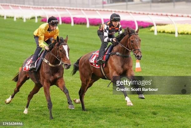 Hopeful and Sibaaq during Breakfast With The Best trackwork at Moonee Valley Racecourse on October 24, 2023 in Moonee Ponds, Australia.