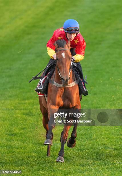 Militarize during Breakfast With The Best trackwork at Moonee Valley Racecourse on October 24, 2023 in Moonee Ponds, Australia.