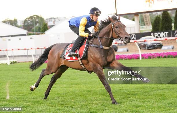 Knights Order during Breakfast With The Best trackwork at Moonee Valley Racecourse on October 24, 2023 in Moonee Ponds, Australia.