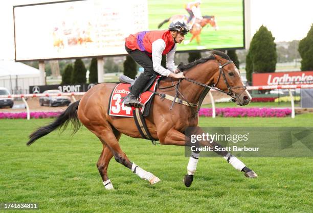 Aintnodeeldun during Breakfast With The Best trackwork at Moonee Valley Racecourse on October 24, 2023 in Moonee Ponds, Australia.