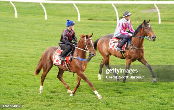 Gimme Gimme and Hand Crafted during Breakfast With The Best trackwork at Moonee Valley Racecourse on October 24, 2023 in Moonee Ponds, Australia.