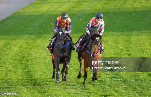 Imperatriz and Rubicon Crossing during Breakfast With The Best trackwork at Moonee Valley Racecourse on October 24, 2023 in Moonee Ponds, Australia.