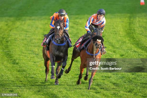 Imperatriz and Rubicon Crossing during Breakfast With The Best trackwork at Moonee Valley Racecourse on October 24, 2023 in Moonee Ponds, Australia.