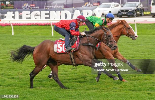 Schwarz and Saltaire during Breakfast With The Best trackwork at Moonee Valley Racecourse on October 24, 2023 in Moonee Ponds, Australia.