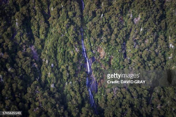 In this photo taken on October 20 a waterfall flows between trees in the Mount Aspiring National Park located near Queenstown on the South Island of...