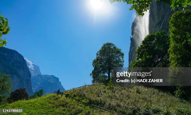 a view of the staubbach falls near lauterbrunnen village in the swiss alps - staubbach falls stock pictures, royalty-free photos & images