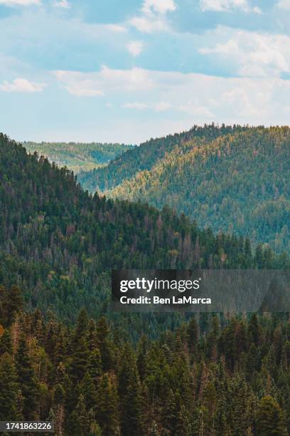 santa fe national forest 3 - national forest stock pictures, royalty-free photos & images