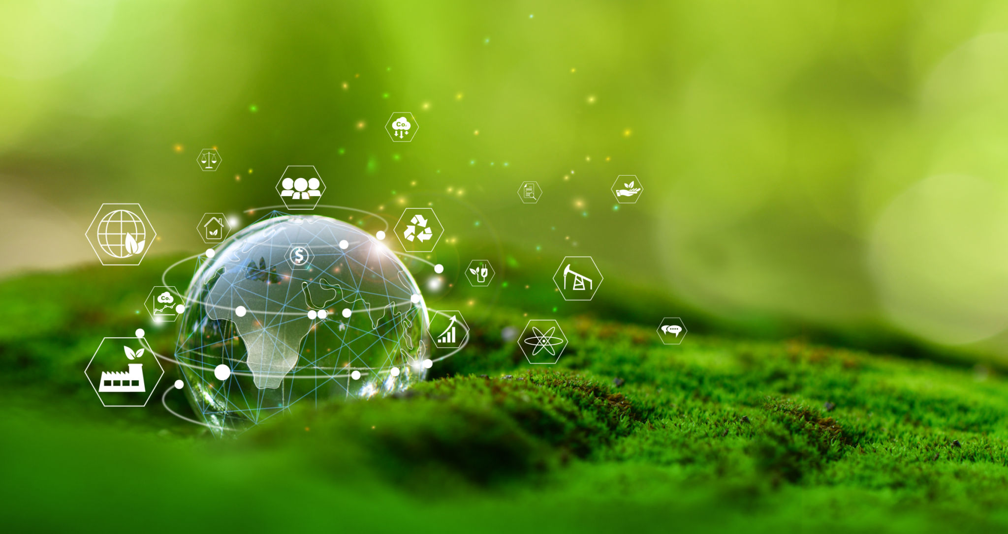 international environment standards