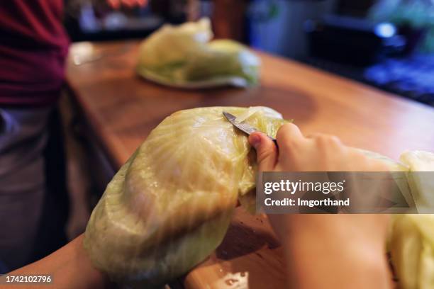 teenage boy helping to make traditional cabbage rolls for christmas - cut cabbage stock pictures, royalty-free photos & images