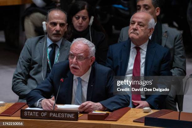 Foreign Affairs Minister of the Palestinian National Authority Riyad al-Maliki addresses the United Nations Security Council at the United Nations...