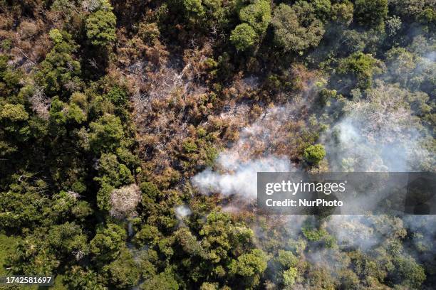 Manaus, 3rd Oct 2023 - A mixed area of fields and Amazon rainforest is burning uncontrollably, while nearby residents attempt to contain the flames....