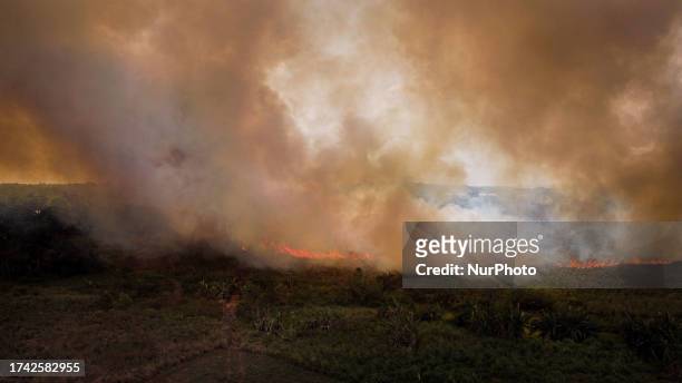 Manaus, 4th Oct 2023 - A mixed area of fields and Amazon rainforest is burning uncontrollably, while nearby residents attempt to contain the flames....