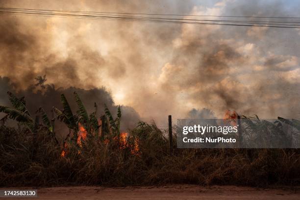 Manaus, 4th Oct 2023 - A mixed area of fields and Amazon rainforest is burning uncontrollably, while nearby residents attempt to contain the flames....