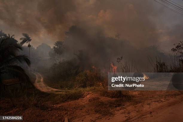 Manaus, 4th Oct 2023 - A mixed area of fields and Amazon rainforest is burning uncontrollably, while nearby residents attempt to contain the flames....
