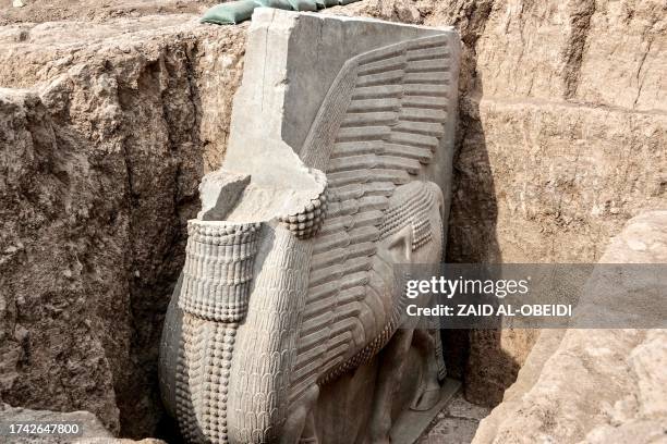 This picture taken on October 24, 2023 shows a view of a newly-unearthed Assyrian Lamassu alabaster sculpture discovered with its entire wings intact...