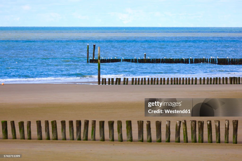 Groynes on North Sea coast