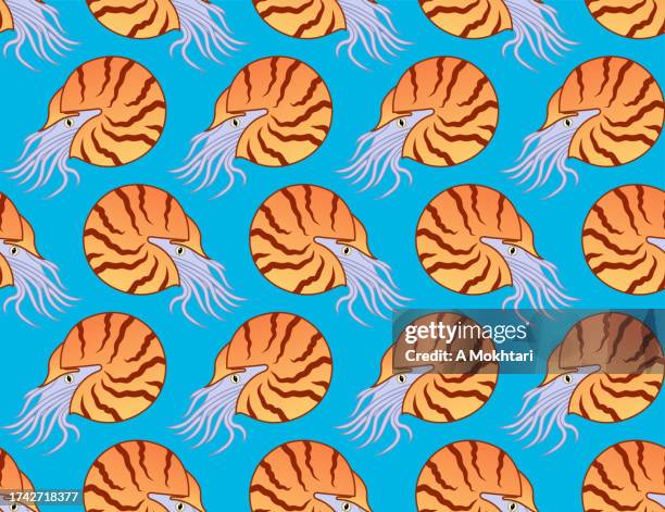 nautilus repeating texture. - nautilus shell stock illustrations