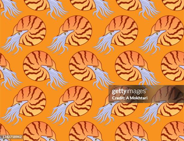 nautilus repeating texture. - ocean cross section stock illustrations