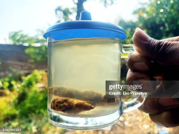 warm ginger drink in a glass - herbal water stock-fotos und bilder