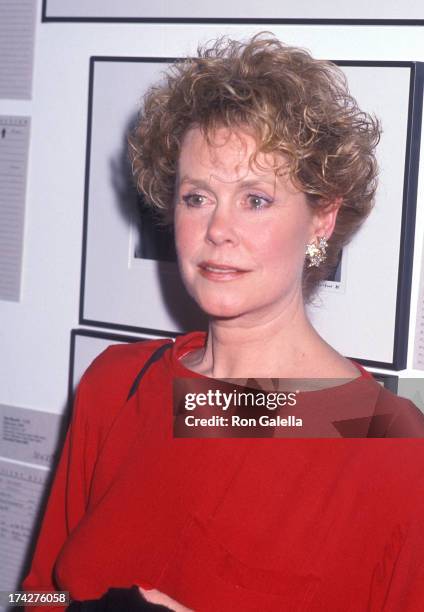 Actress Elizabeth Montgomery attends the Los Angeles Center for Living's First Annual "Angel Art" Photography and Fine Art Auction to Benefit Project...