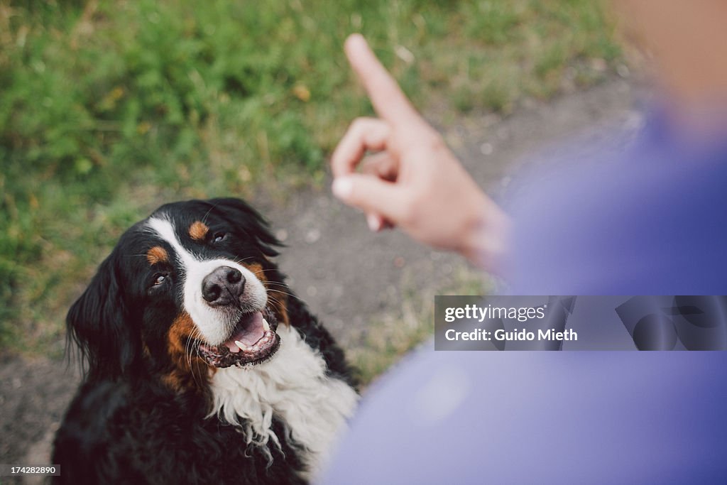 Woman showing warning finger to her dog